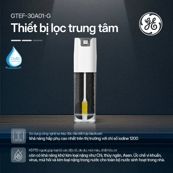 Thiết Bị Lọc Trung Tâm GE GTEF-30A01-G