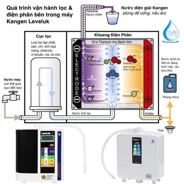 Quy Trình Điện Phân Và Vận Hành Của Máy Lọc Nước Ion Kiềm Kangen
