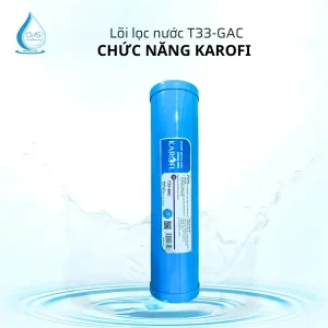 Lõi Lọc Chức Năng Karofi T33-GAC