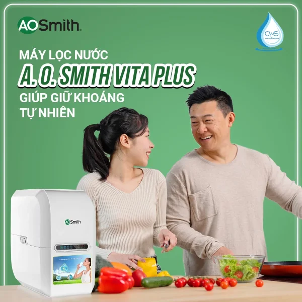Đánh Giá Với Mức Giá 10-13 Triệu Liệu Máy Lọc Nước AO Smith Vita Plus Có Xứng Đáng Để Đầu Tư