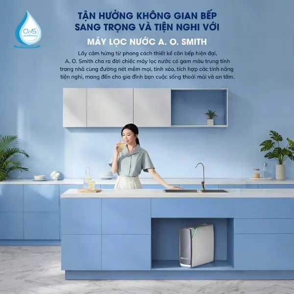 Với Mức Giá 19 Triệu, Máy Lọc Nước AO Smith X1000 Có Xứng Đáng Để Đầu Tư Cho Gia Đình