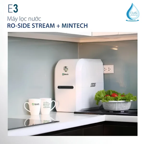 Với Ngân Sách Từ 10 - 13 Triệu Đồng, Liệu Máy Lọc Nước AO Smith E3 Có Đáng Để Đầu Tư Cho Gia Đình