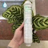 Hình Ảnh Thực Tế Lõi PAC Trong Combo Lõi Lọc Nước AO Smith A1 A2 M2
