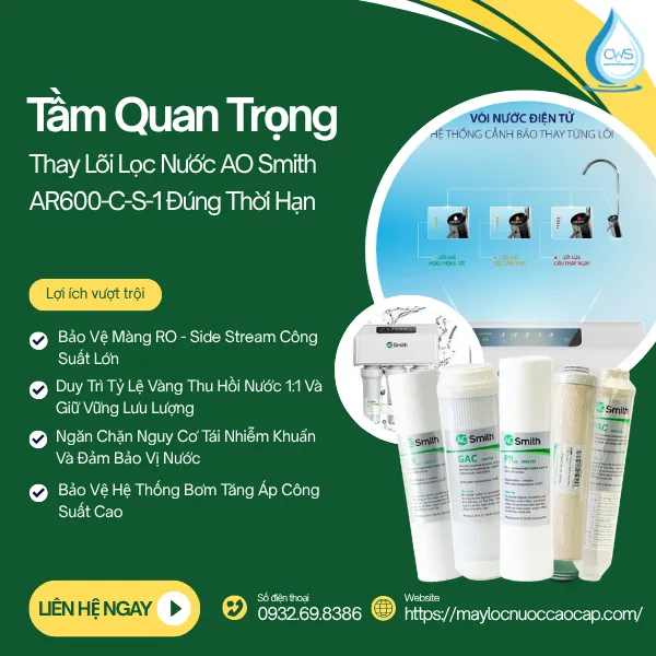 Tầm Quan Trọng Của Việc Thay Lõi Lọc Nước AO Smith AR600-C-S-1 Đúng Thời Hạn