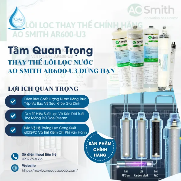 Tầm Quan Trọng Của Việc Thay Thế Lõi Lọc Nước AO Smith AR600-U3 Đúng Hạn