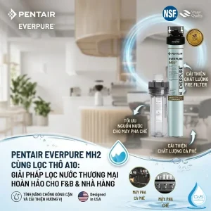 Máy Lọc Nước Pentair Everpure MH2 – Giải Pháp Cho Các Dòng Máy Pha Chế Như Cà Phê, Trà