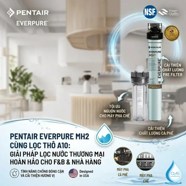 Máy Lọc Nước Pentair Everpure MH2 – Giải Pháp Cho Các Dòng Máy Pha Chế Như Cà Phê, Trà