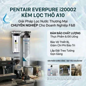 Ưu Điểm Của Máy Lọc Nước Pentair Everpure i20002