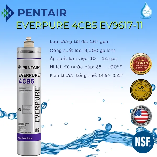Các Chứng Nhận Về Chất Lượng Của Lõi Lọc Nước Pentair Everpure 4CB5 EV9617-11