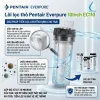 Cấu Tạo Và Chức Năng Của Lõi Lọc Thô Pentair Everpure 10Inch EC110 Như Thế Nào