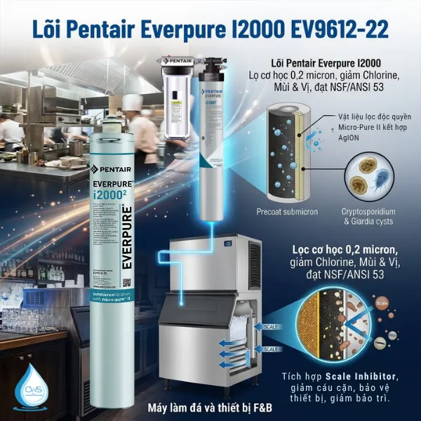 Cấu Tạo Và Công Nghệ Lọc Của Lõi Lọc Nước Pentair Everpure I20002 EV9612-22 Có Gì Đặc Biệt