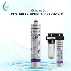 Lõi Lọc Nước Pentair Everpure 4CB5 EV9617-11 Thay Thế