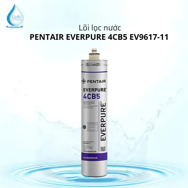 Lõi Lọc Nước Pentair Everpure 4CB5 EV9617-11 Lõi Lọc Nước Pentair Everpure 4CB5 EV9617-11