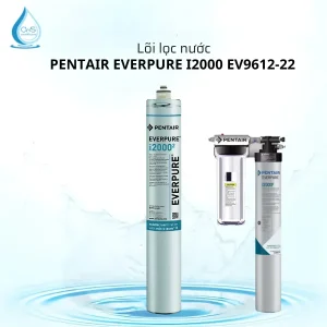 Lõi Lọc Nước Pentair Everpure I20002 Chính Hãng