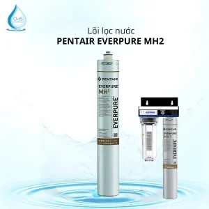 Lõi Lọc Nước Pentair Everpure MH2 EV9613-21 Chính Hãng