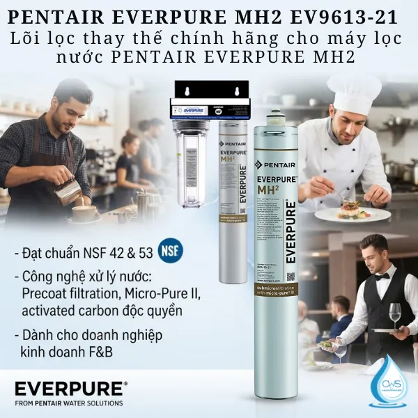 Lõi Lọc Nước Pentair Everpure MH2 Thay Thế Được Cho Dòng Máy Nào