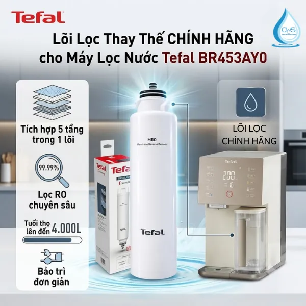 Lõi Lọc Nước Tefal BR453AY0 Sử Dụng Để Thay Thế Cho Model Máy Nào