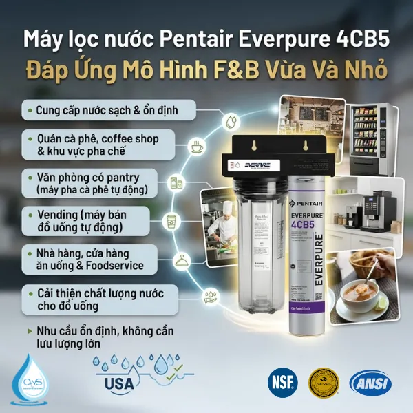 Máy Lọc Nước Pentair Everpure 4CB5 Đáp Ứng Mô Hình Hoạt Động Kinh Doanh Nào