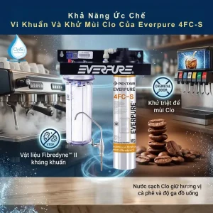 Máy Lọc Nước Pentair Everpure 4FC-S Giúp Loại Bỏ Vi Khuẩn Và Mùi Clo Cho Nước Uống
