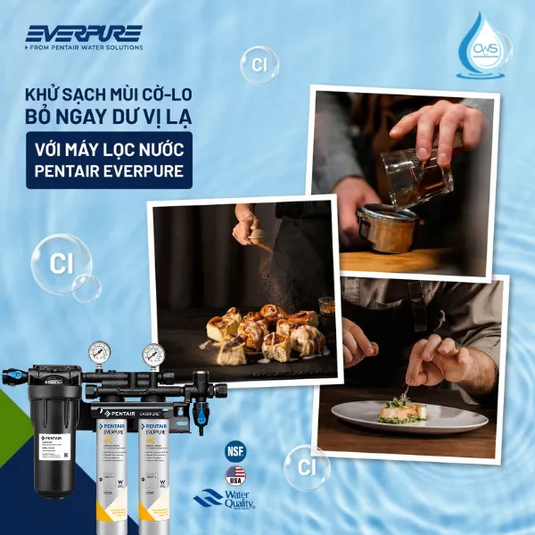 Máy Lọc Nước Pentair Everpure QC7I PF Twin 4FC Loại Bỏ Clo Dư, Nâng Chất Lượng Đồ Uống