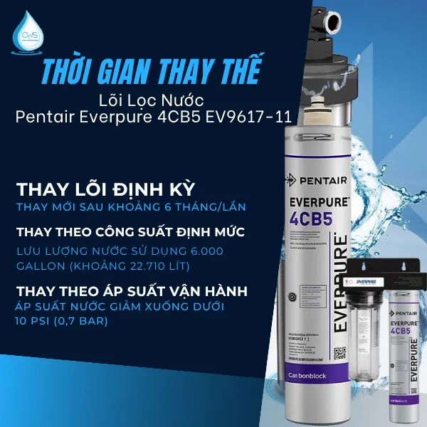 Thời Gian Thay Thế Lõi Lọc Nước Pentair Everpure 4CB5 EV9617-11