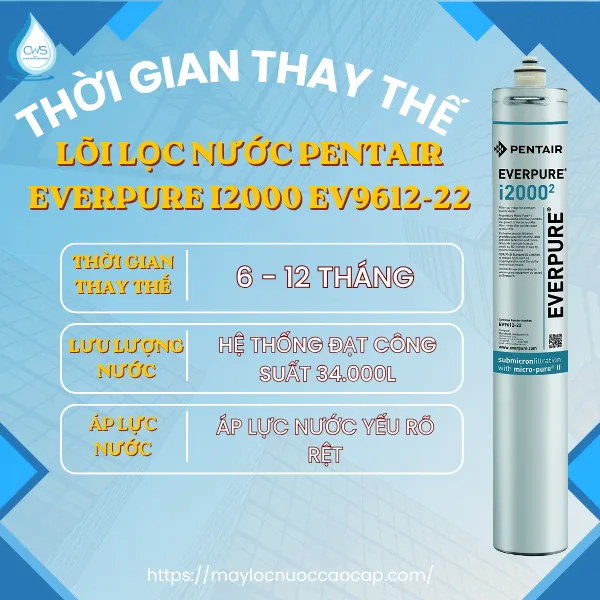 Thời Gian Thay Thế Lõi Lọc Nước Pentair Everpure I20002 EV9612-22 Là Bao Lâu