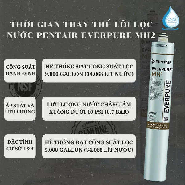 Thời Gian Thay Thế Lõi Lọc Nước Pentair Everpure MH2 Là Khi Nào