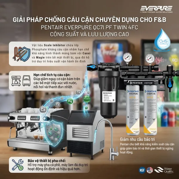 Tính Năng Giảm Cáu Căn Chuyên Biệt Trên Máy Lọc Nước Pentair Everpure QC7I PF Twin 4FC-S