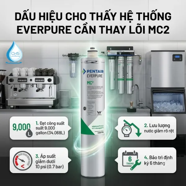Dấu Hiệu Cho Thấy Hệ Thống Everpure Cần Thay Lõi Lọc Nước Pentair Everpure MC2