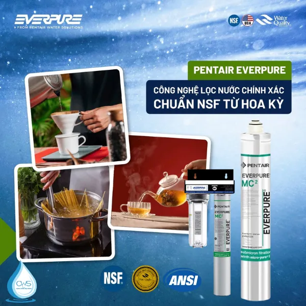 Vật Liệu Lọc Của Lõi Lọc Nước Pentair Everpure MC2 Đạt Chuẩn NSF