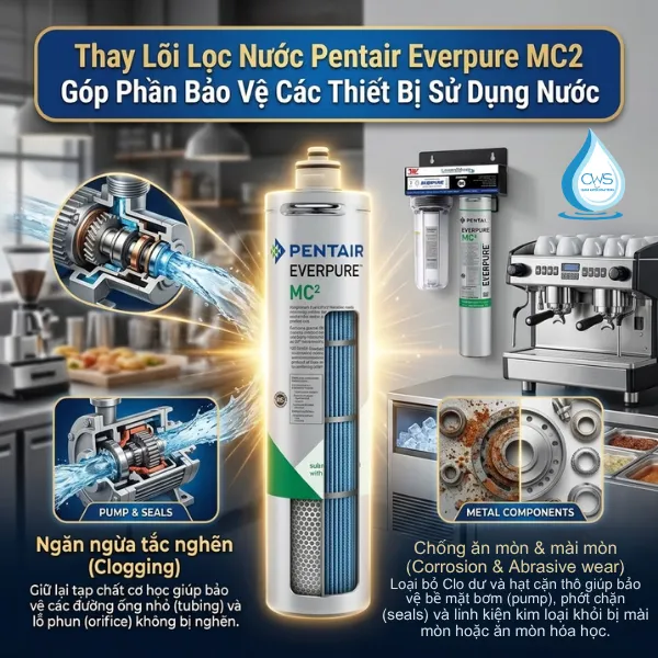 Vì Sao Người Dùng Hệ Thống Pentair Everpure MC2 Cần Thay Lõi Định Kỳ